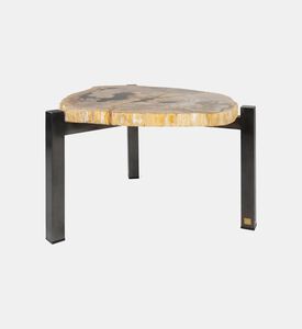 مجموعة طاولة القهوة من الخشب الصلب المتحجر