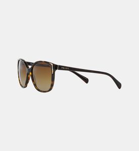 Acetate Square Shape Sunglasses 55