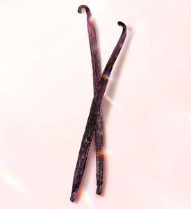 عطر أيدول نكتار