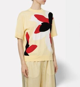 Plan C Pull Knit, Model View