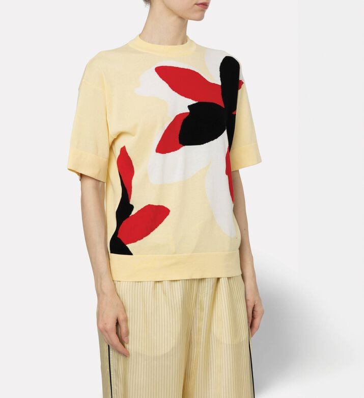 Plan C Pull Knit, Model View