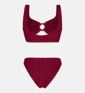 Paramidonna Swst Irina, Packshot View