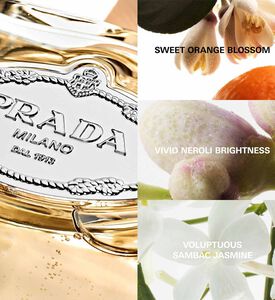 Moroccan Leather عطر