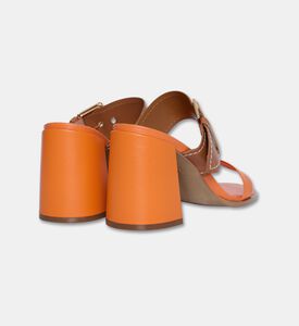 Arezzo Leather Color-block Mule Sandals, Packshot View