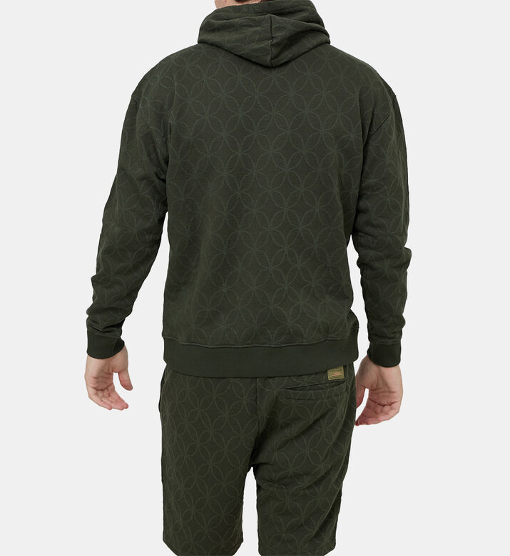 هودي جاكار تيري