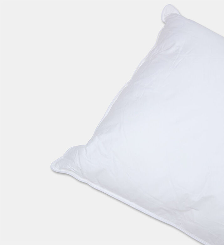 Home Deco and More Palma Cotton Filling Pillow, Packshot View