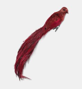Shishi Feather Bird Burgundy 40cm, Packshot View