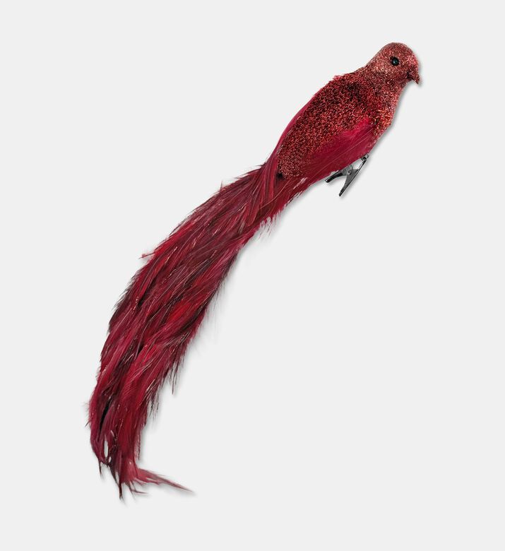 Shishi Feather Bird Burgundy 40cm, Packshot View