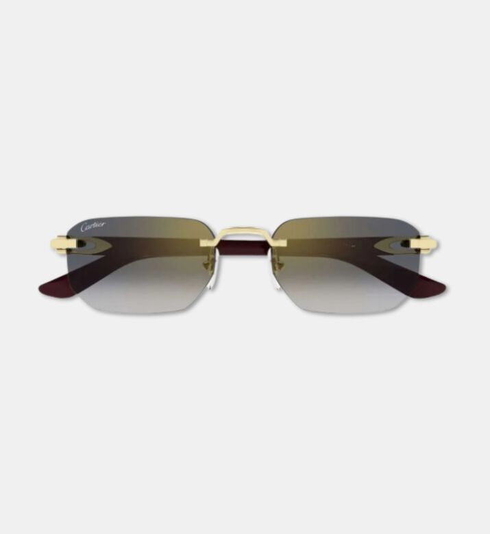 Cartier Sunglass, Packshot View