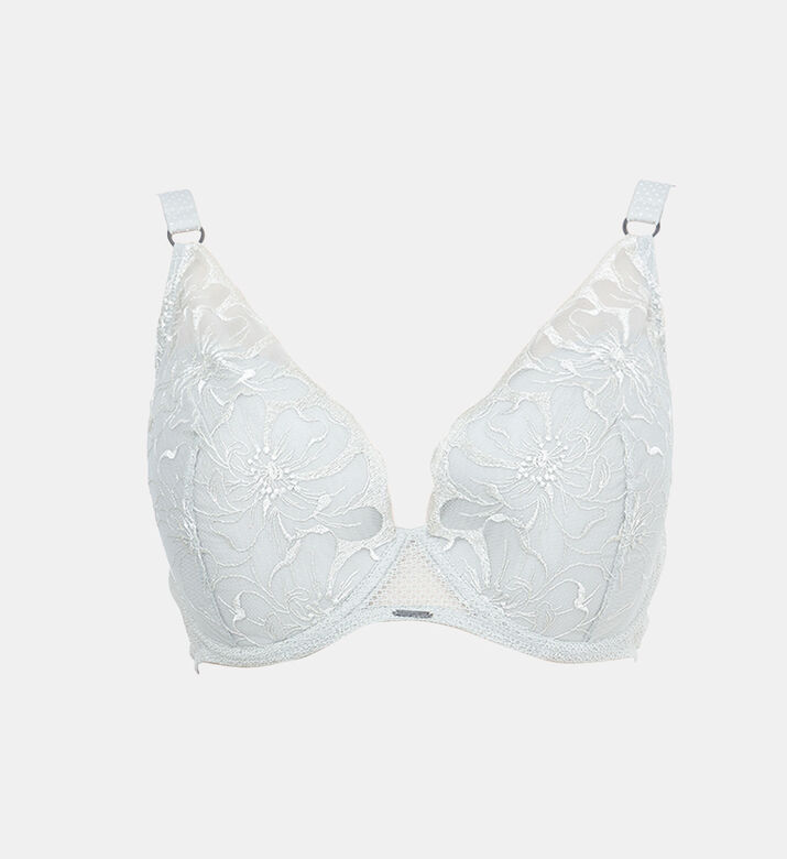 Embroidered Lace Plunge Bra