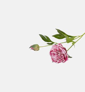 غصن فاوانيا اصطناعي