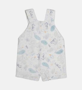 دنغري دانيال بطبعة على كامله