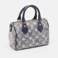 Louis Vuitton Monoglam Speedy Bandouliere Embroidered Bag Preowned