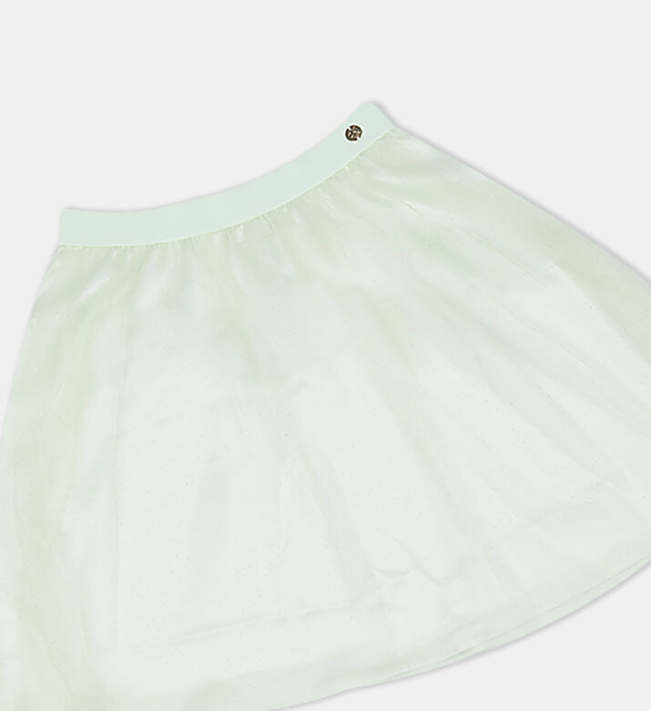 Tulle Pleated Mini Skirt