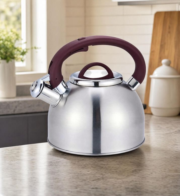 Home Deco and More Stainless Steel Whistling Kettle, Model View