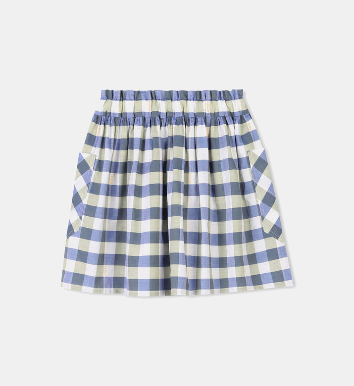 Pleated Flared Skirt