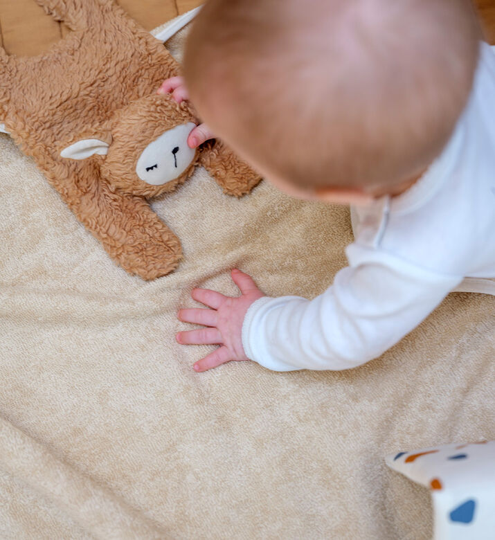 Caramel Cuddle Sheep Caramel Cuddle Sheep