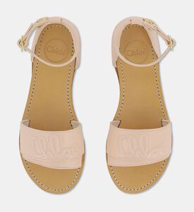 Chloe Shoes, Packshot View