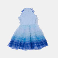 Swim Club Tutu Midi Dress