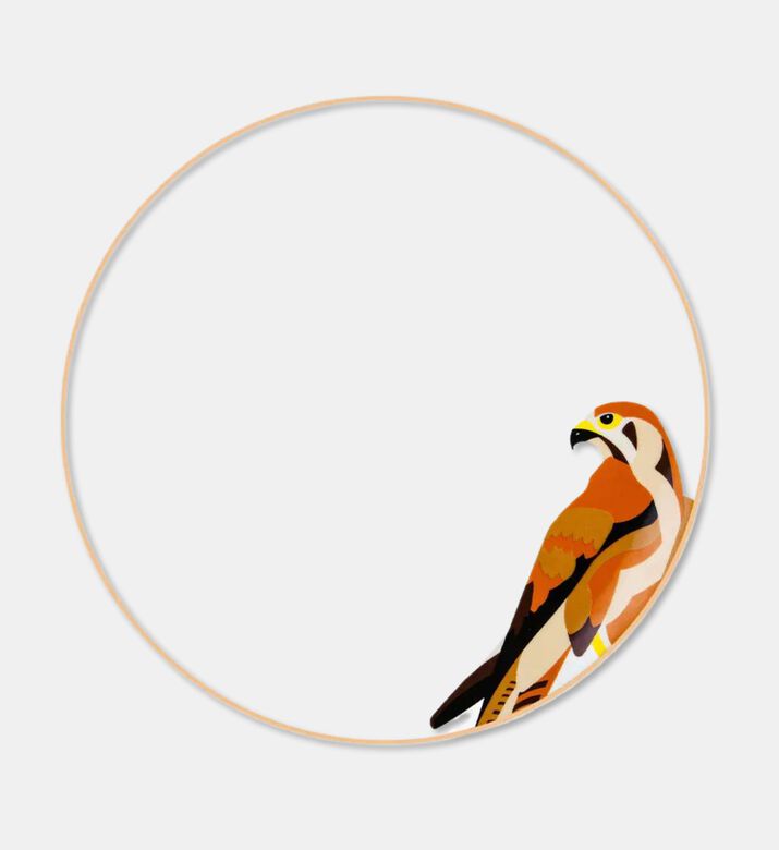 Silsal Sarb Dinner Plate - Falcon, Packshot View