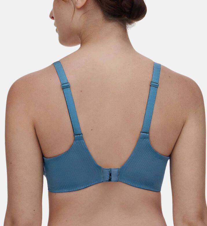 Chantelle Embroidered Lace Bra, Blue, 95, F, Model View