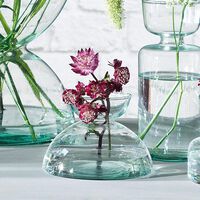 Canopy Clear Glass Vase