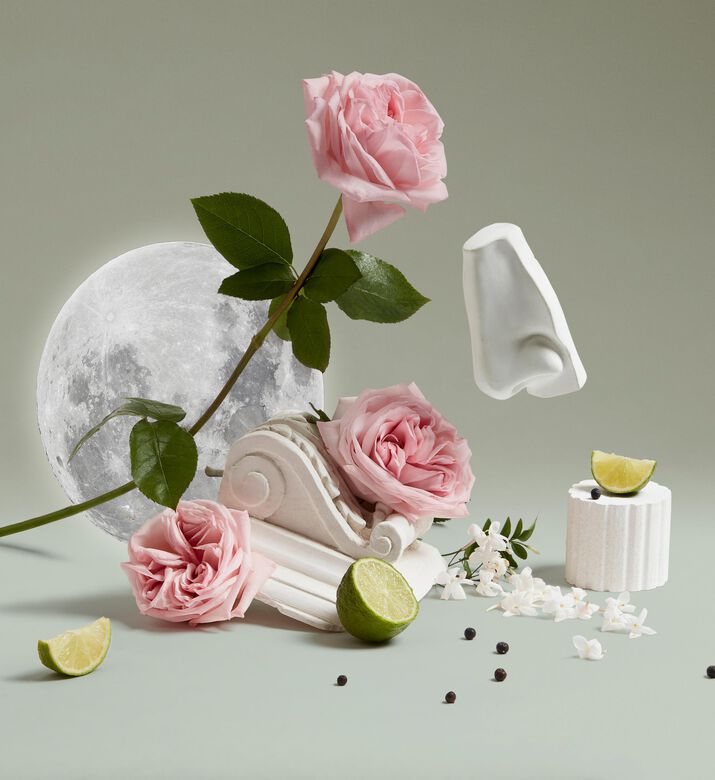 Penhaligon's Luna Eau De Toilette Spray, Packshot View