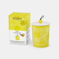 Terre D Agrumes Refillable Scented Candle