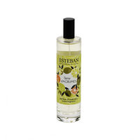 Terre D Agrumes Home Spray 100 Ml