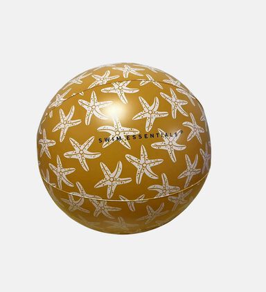 Seaside Star Beach Ball