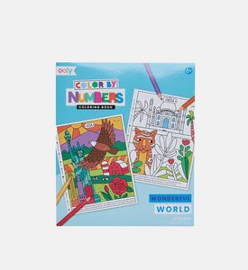 كتاب تلوين واندرفول وورد بألوان حسب الأرقام