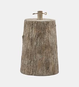 Pine Trunk Base Pine Trunk Base