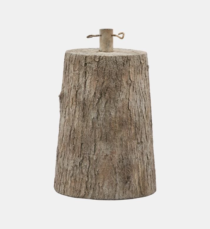 Pine Trunk Base Pine Trunk Base