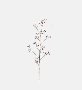 Edg Snow-covered Rose Branch, Pink, Packshot View