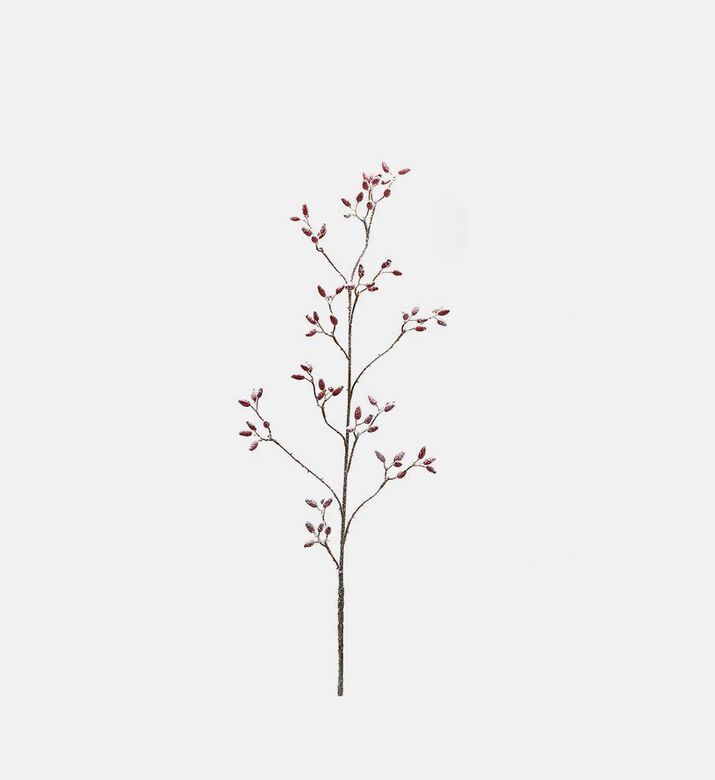 Edg Snow-covered Rose Branch, Pink, Packshot View