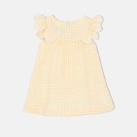 Gingham Check Embroidered Dress