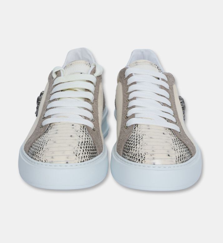 Roberto Cavalli Shoes Sport Tunis/stp Snk, Packshot View