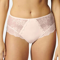 Reve Retro Briefs