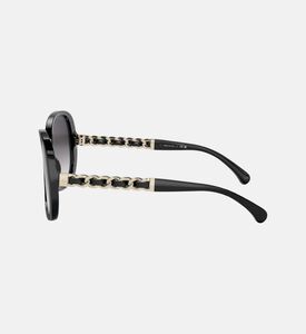 Oversized Oval Sunglasses