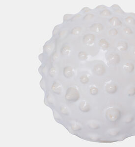 منحوتة قنفذ البحر سيراميكية