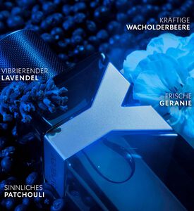 واي انتينس او دي بارفان