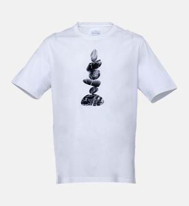 تيشيرت قطن بطبعة وياقة دائرية قصيرة الأكمام