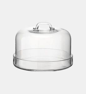 طقم أطباق تقديم الكيك على شكل قبة مقاس 24 × 22 سم