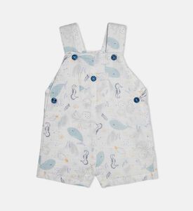 دنغري دانيال بطبعة على كامله