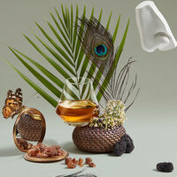 عطر كلاندستاين كلارا