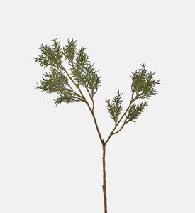 غصن إكليل جبل حقيقي - 54 سم