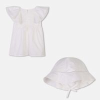 Ruffled Sleeves Baby Dress