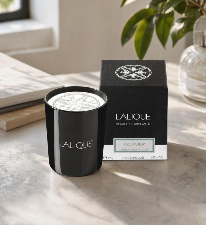 Lalique Aspen Peiplier Scented Candle, Model View
