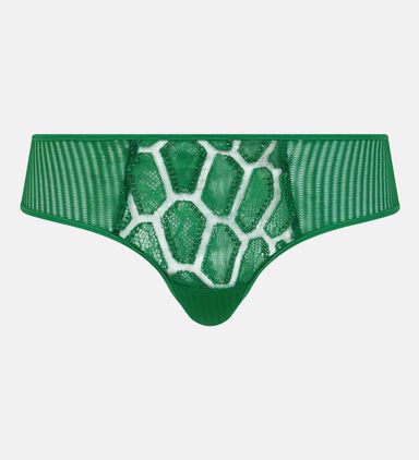 Shimmering Lace Brief