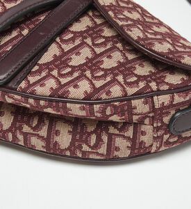 Dior Preowned Dior Oblique Patterned Canvas Sculptural Shoulder Bag, Packshot View